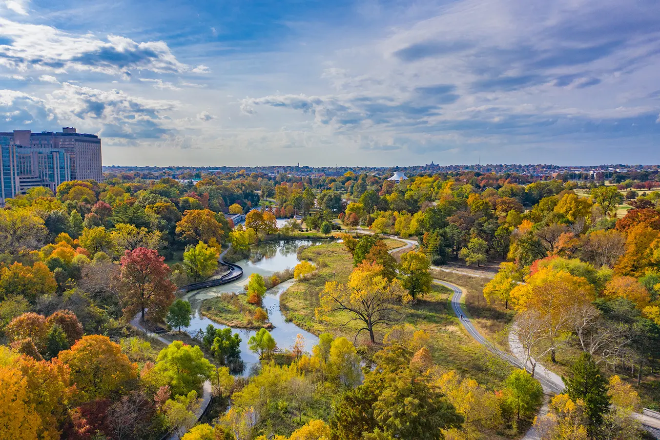 An aerial picture of the east side of Forest Park, with the trees in their full fall color.